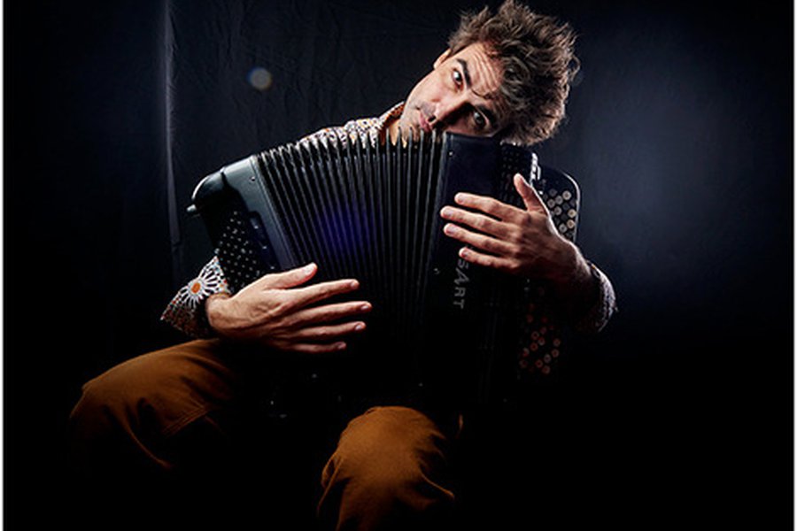 Fisart accordion on sale